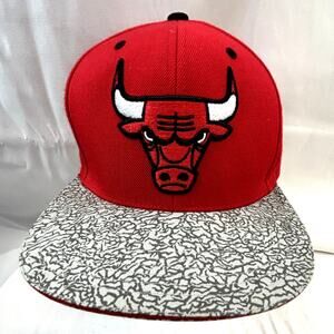 Chicago BULLS Cap Mitchell & Ness Red Retro gray bill Vietnam wool blend